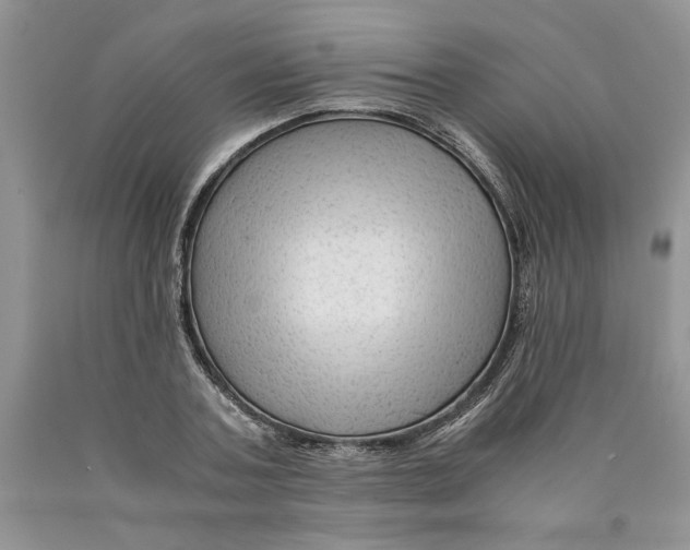 X0000089950787200707271839