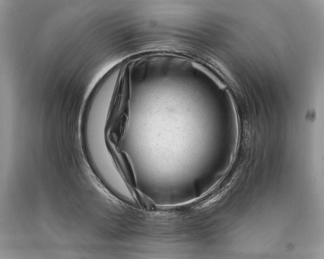 X0000089950788200707271839