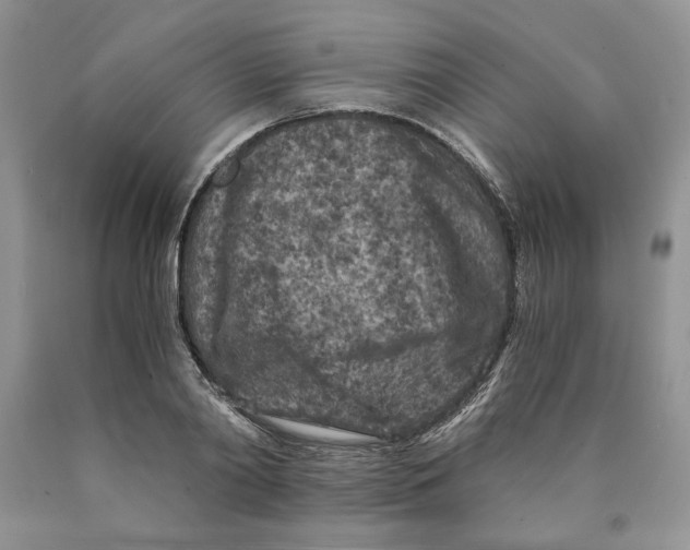 X0000089950790200707271839