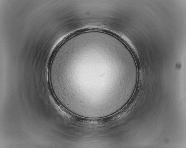 X0000089950791200707271839