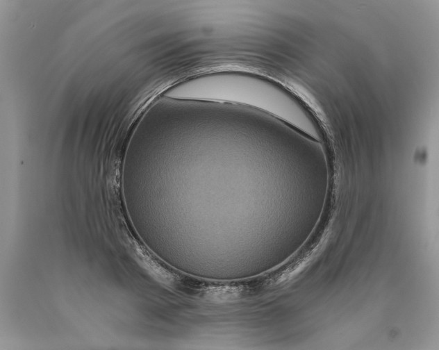 X0000089950793200707271839