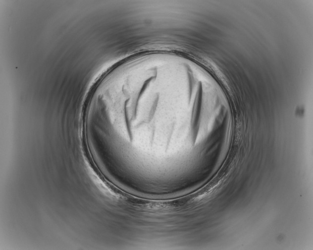 X0000089950795200707271839