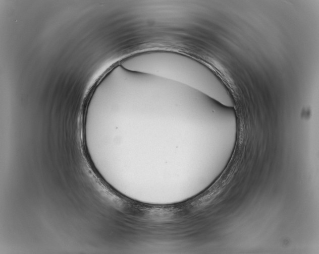 X0000089950796200707271839