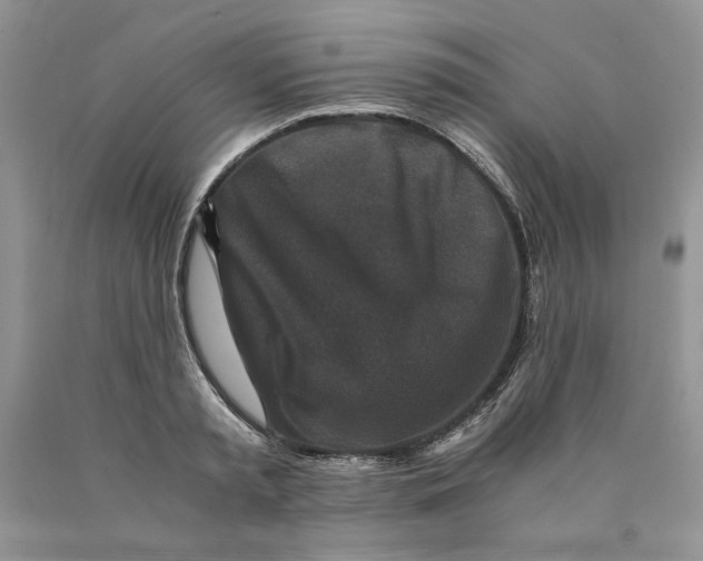 X0000089950797200707271839