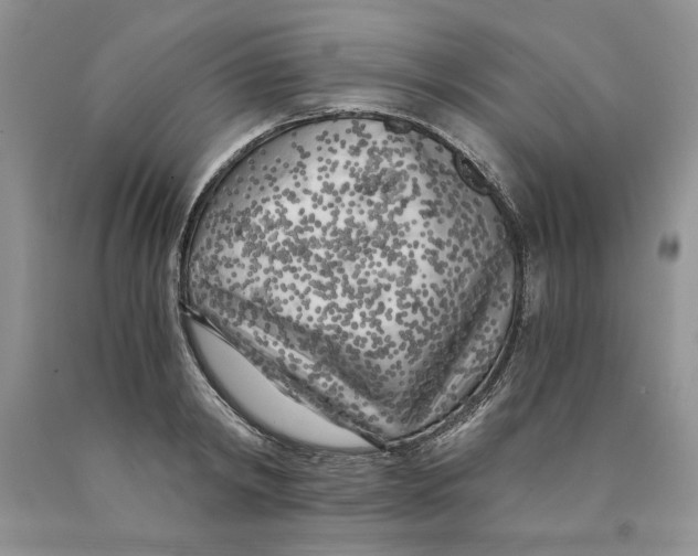 X0000089950798200707271839