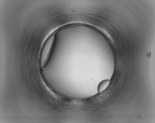 X0000089950799200707271839