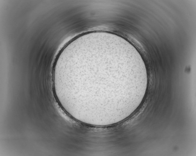 X0000089950800200707271839