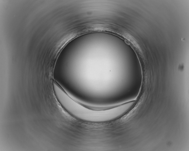 X0000089950801200707271839