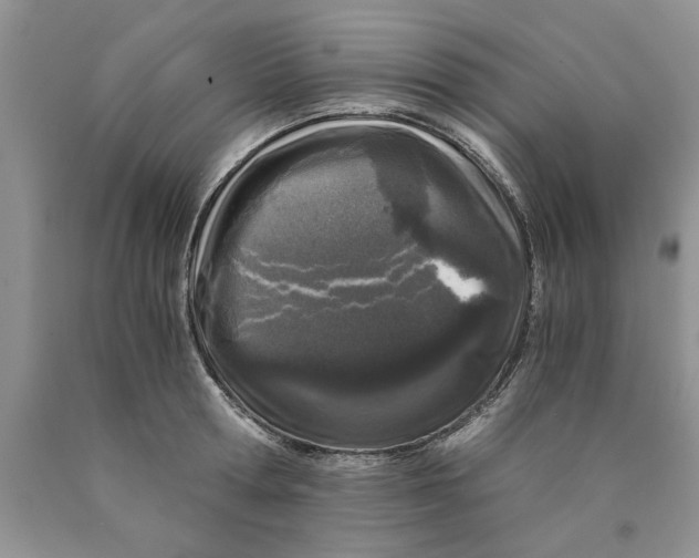 X0000089950802200707271839