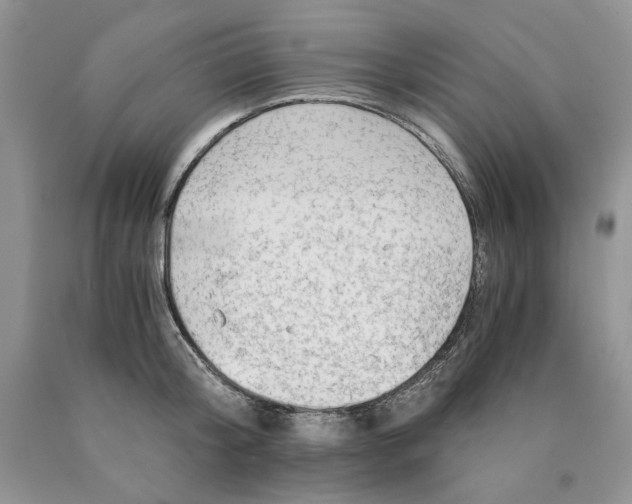 X0000089950804200707271839