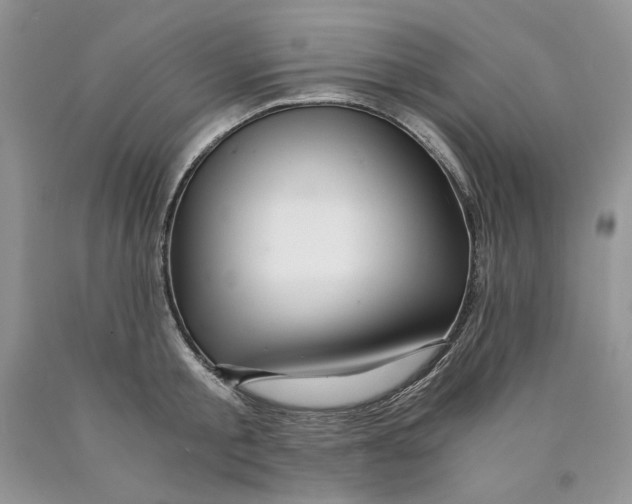 X0000089950805200707271839