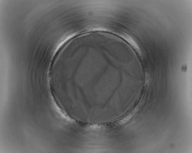 X0000089950806200707271839