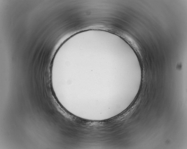 X0000089950808200707271839