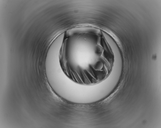 X0000089950809200707271839