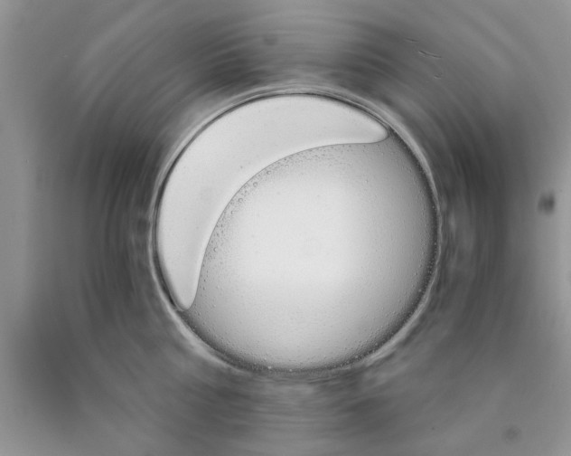 X0000089950810200707271839