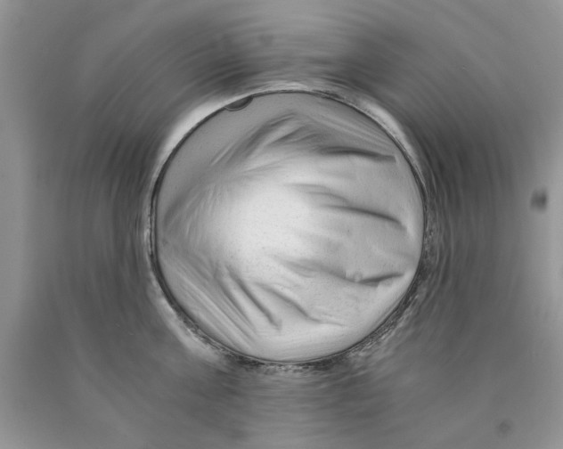 X0000089950811200707271839