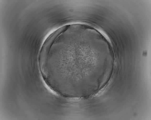 X0000089950813200707271838