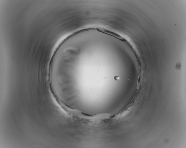 X0000089950815200707271838