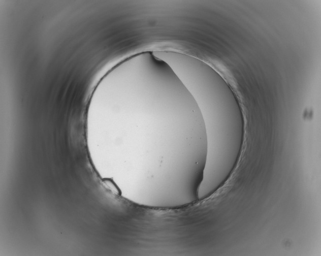 X0000089950816200707271838