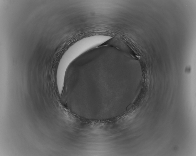 X0000089950818200707271838