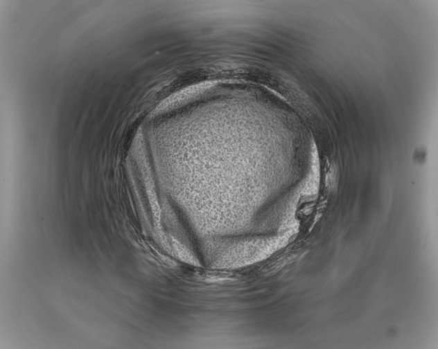 X0000089950819200707271838