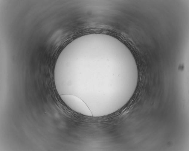 X0000089950820200707271838