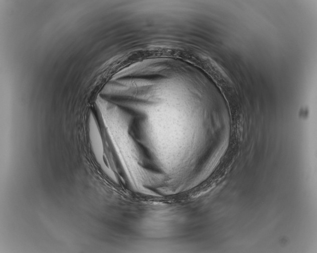 X0000089950821200707271838