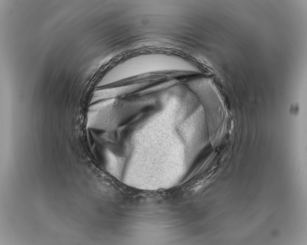 X0000089950822200707271838