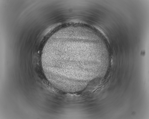 X0000089950823200707271838