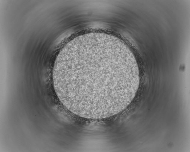 X0000089950824200707271838