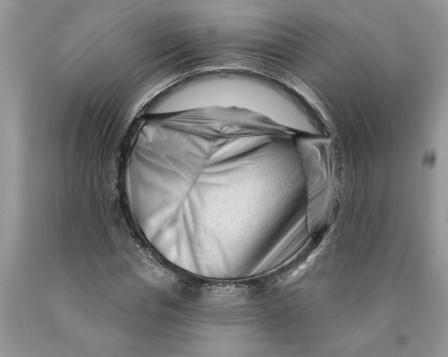 X0000089950826200707271838