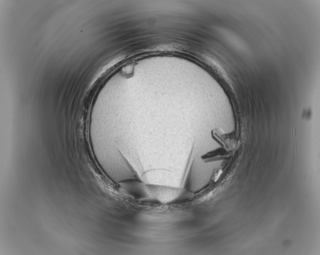 X0000089950827200707271838
