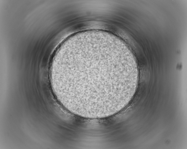 X0000089950828200707271838