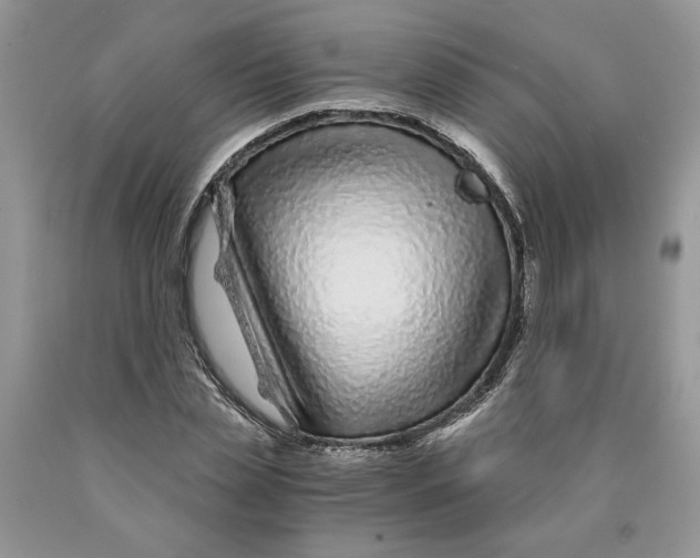 X0000089950829200707271838