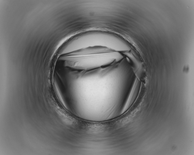 X0000089950830200707271838