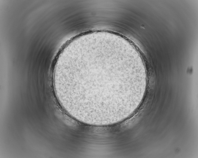 X0000089950832200707271838