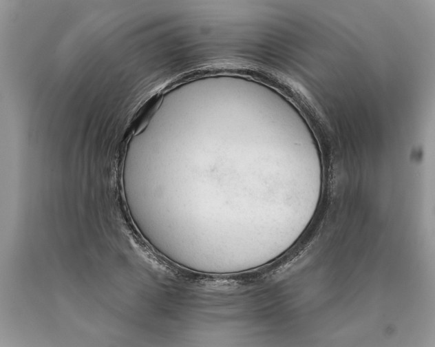 X0000089950833200707271838