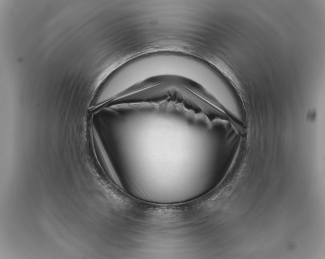 X0000089950834200707271838