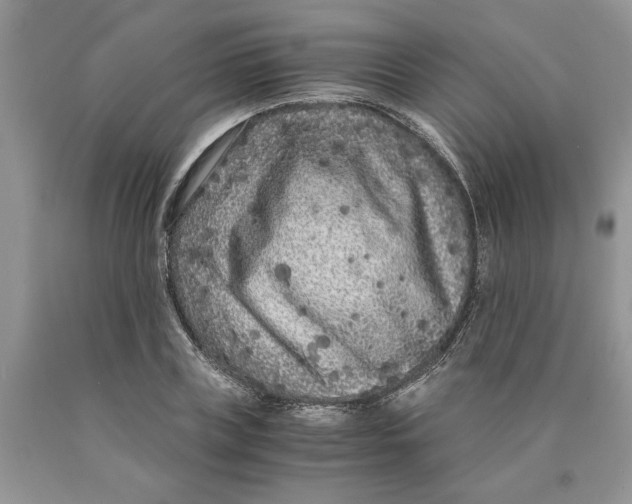 X0000089950835200707271838