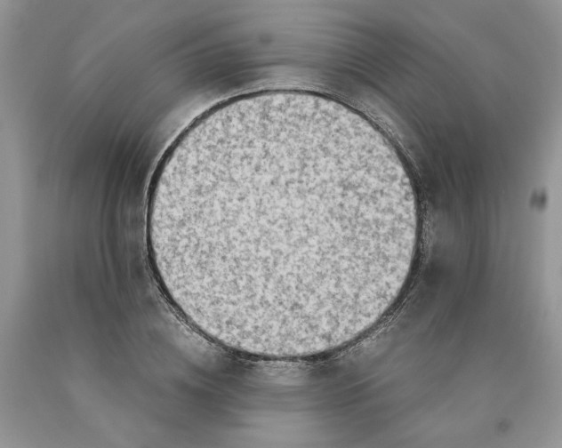 X0000089950836200707271838