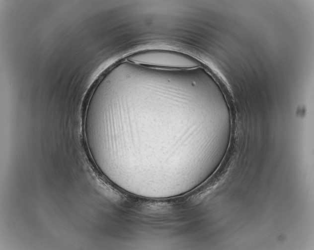 X0000089950837200707271838