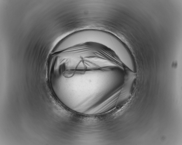 X0000089950838200707271838