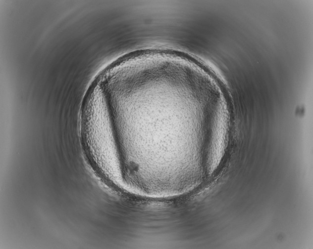 X0000089950839200707271838