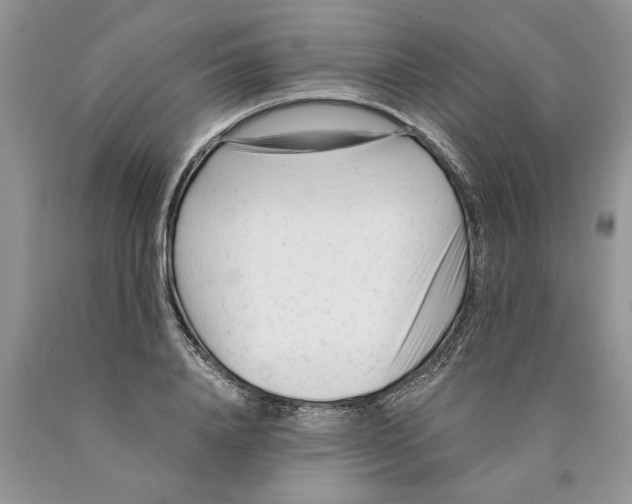 X0000089950840200707271838