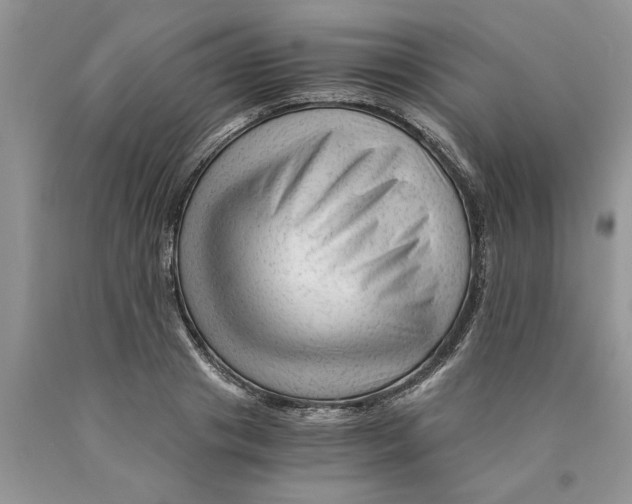 X0000089950841200707271838