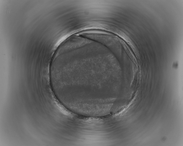 X0000089950842200707271838