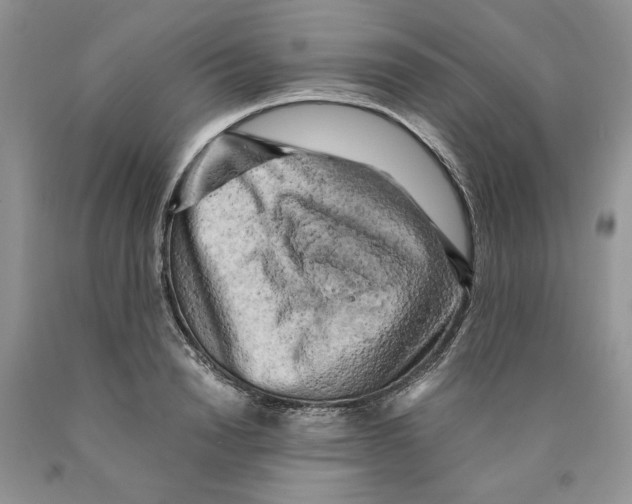 X0000089950846200707271838