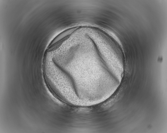 X0000089950847200707271838