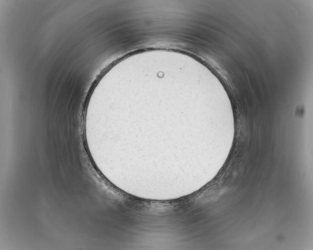 X0000089950848200707271838