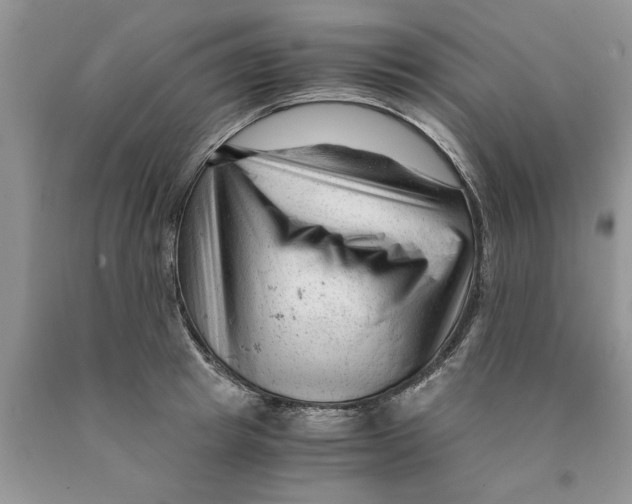 X0000089950849200707271838